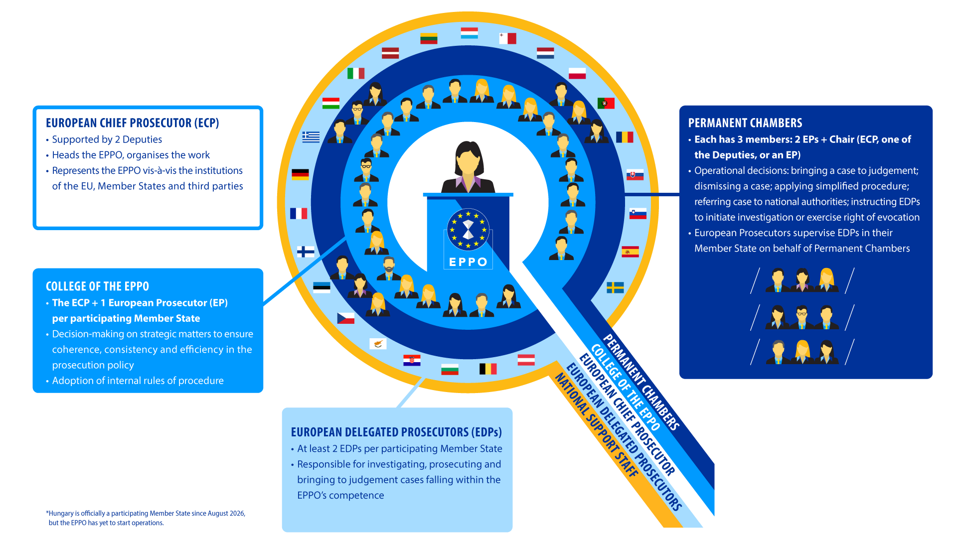 EPPO-Structure-Infographics-RGB-Magnifying-Glass