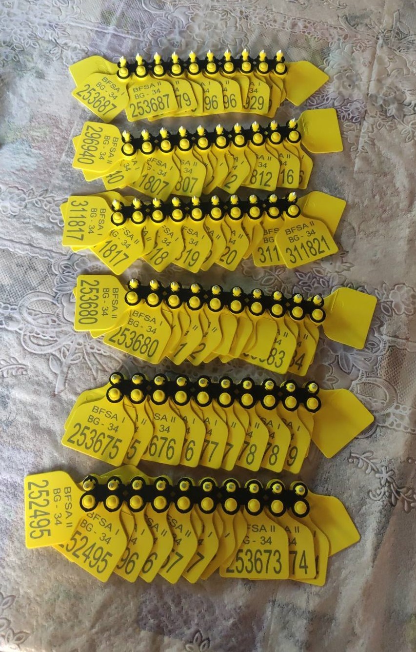 A large number of yellow animal tags on a table