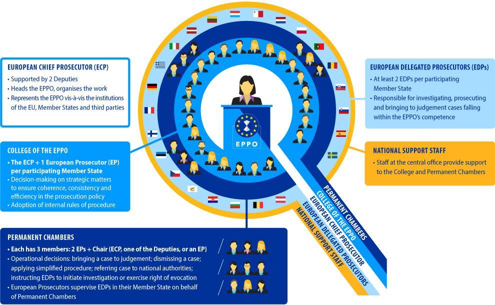 EPPO-Structure-Infographics-RGB-Magnifying-Glass
