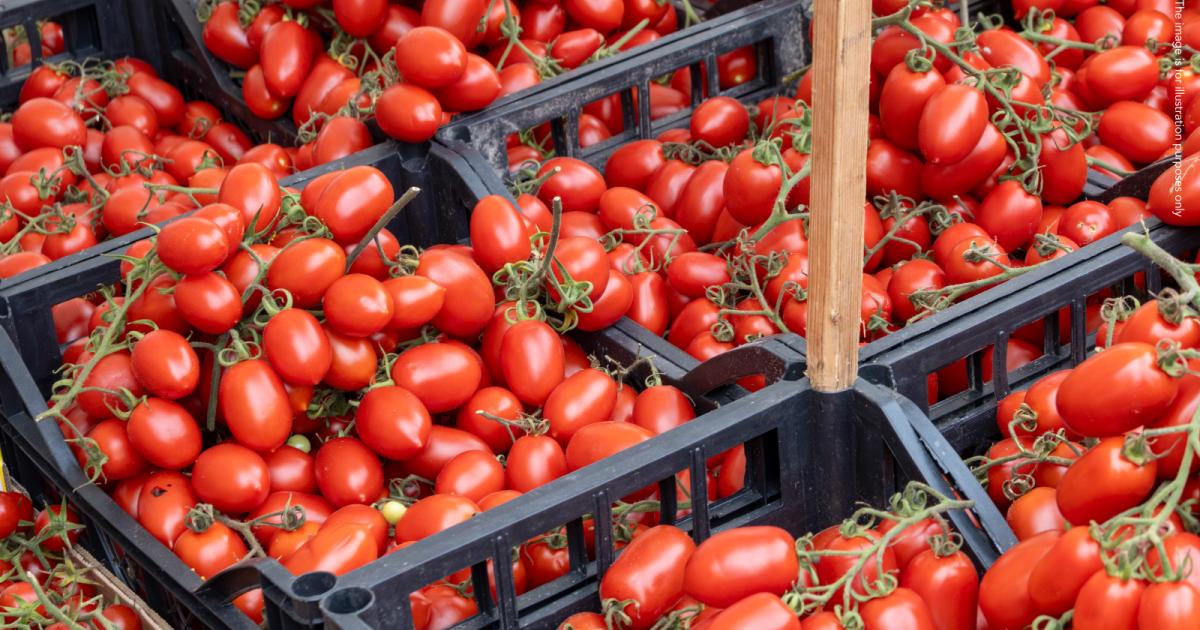 EPPO Italy: 10 Suspects Face Precautionary Measures in Subsidy Fraud Probe
