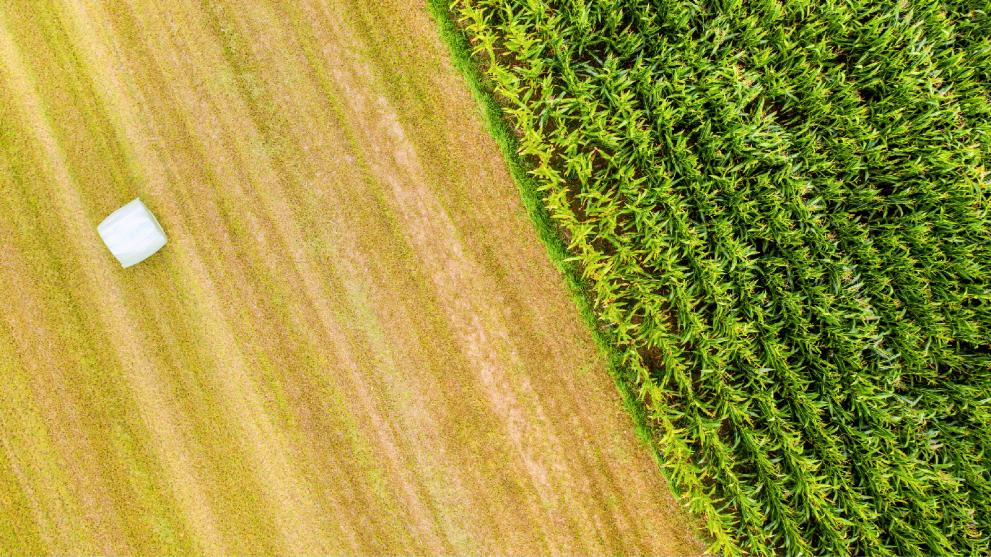 agricultural lands