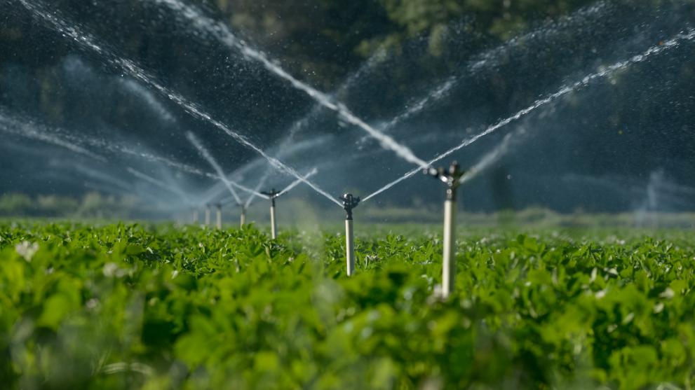 Irrigation