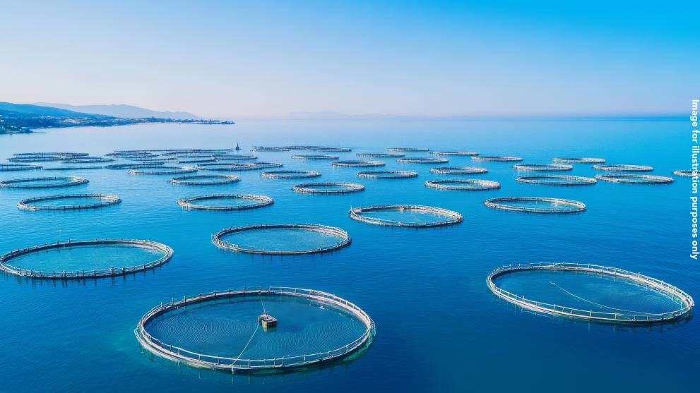 Aquaculture