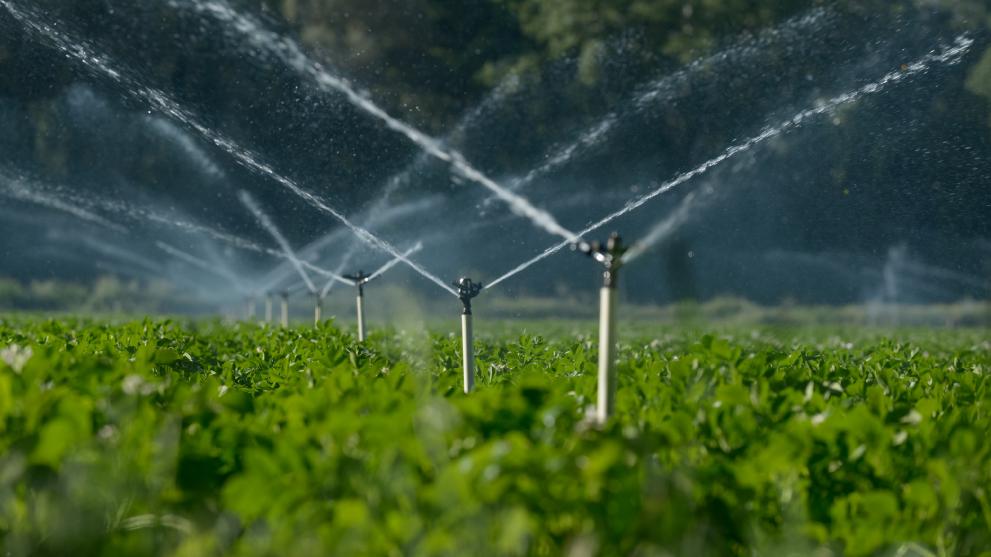 water sprinklers