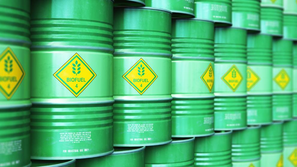biodiesel barrels