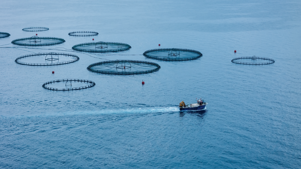 fisheries