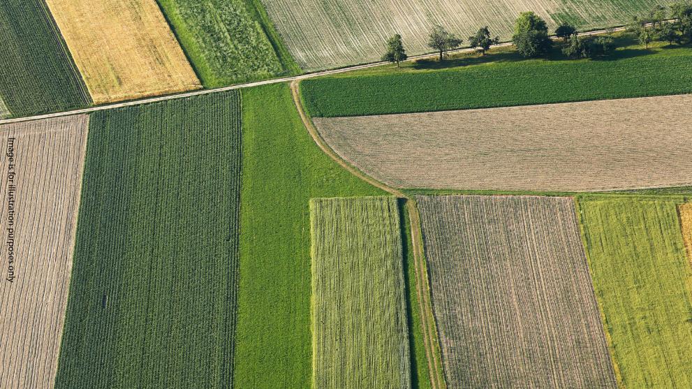 Fields agriculture
