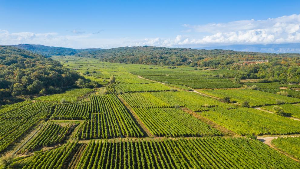 Croatia: Two indicted for subsidy fraud involving agricultural funds 