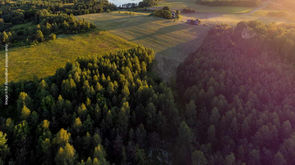 Vilnius