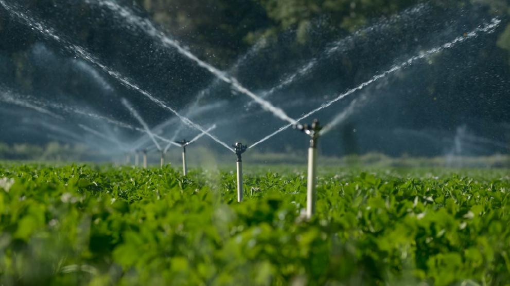 water sprinklers in a field