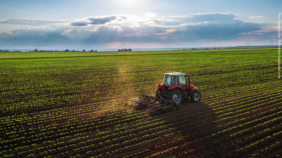 tractor and agricultural fields