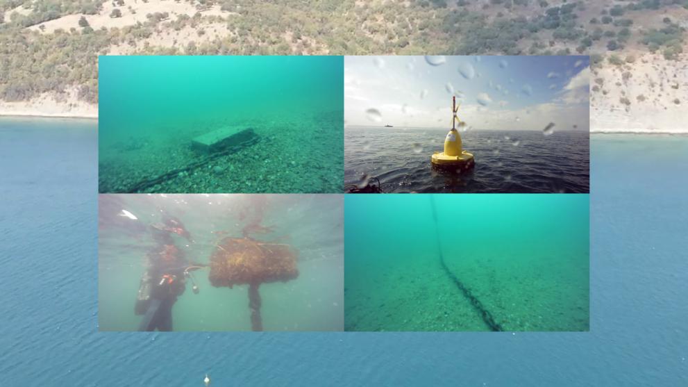 Mussel farm - Underwater searches