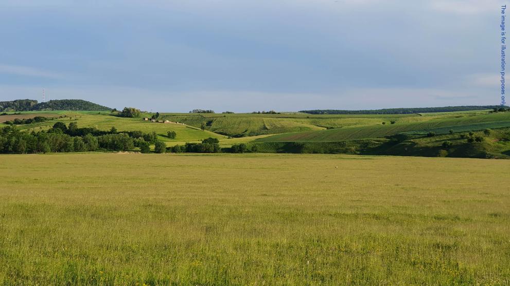 Field Romania PIC