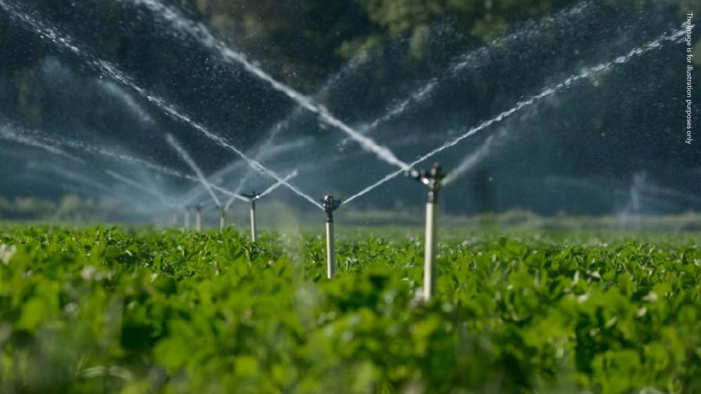 Irrigation Iasi PIC