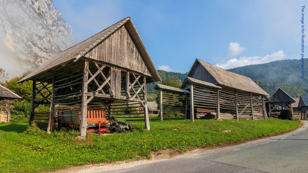 Farm in Slovenia