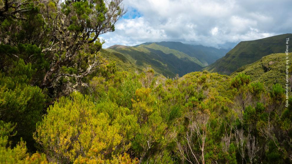 Madeira