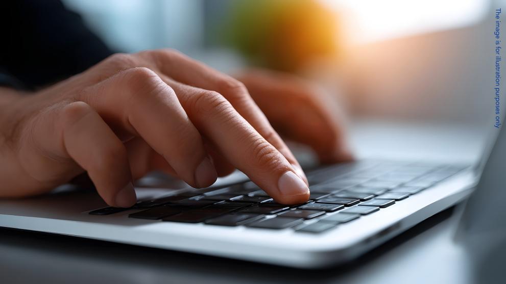 Computer fraudster