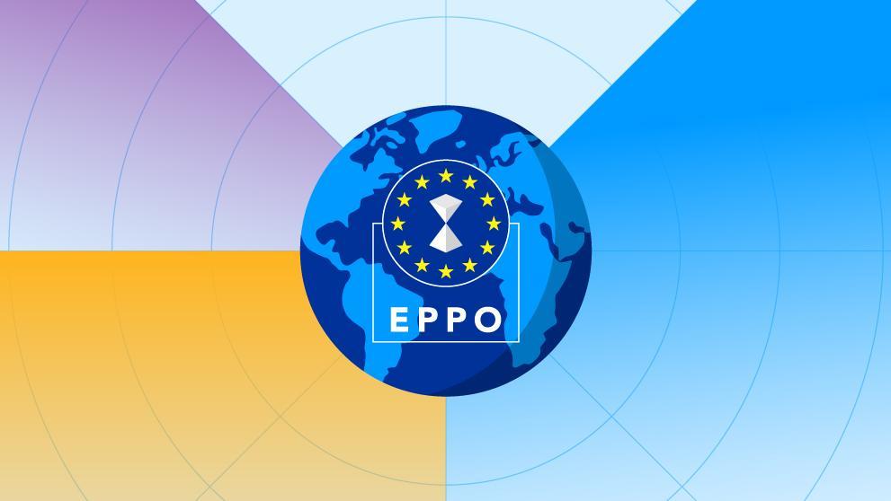 Homepage-International-Cooperation-991px