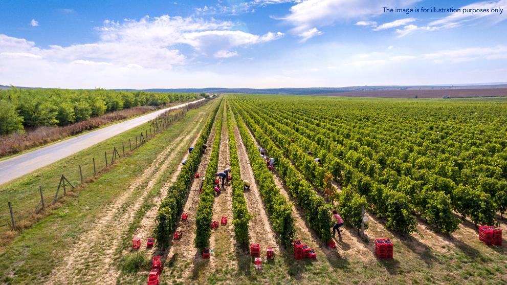 2026 04 24 Cluj-Napoca (Agri subsidies) PIC