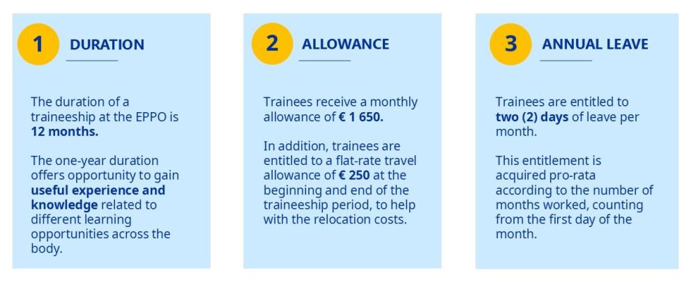 Key information about the traineeship