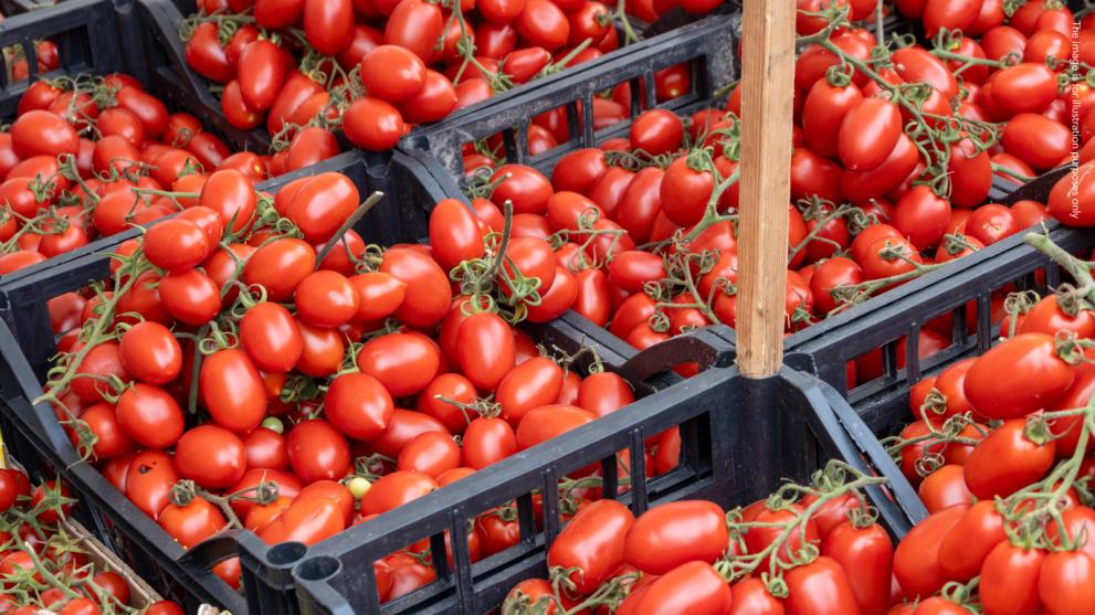 tomatoes on a market