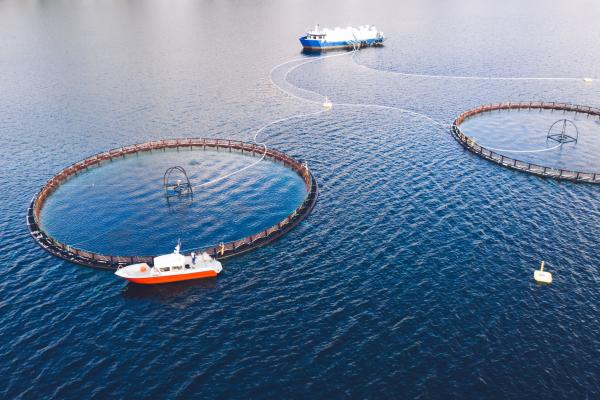 aquaculture