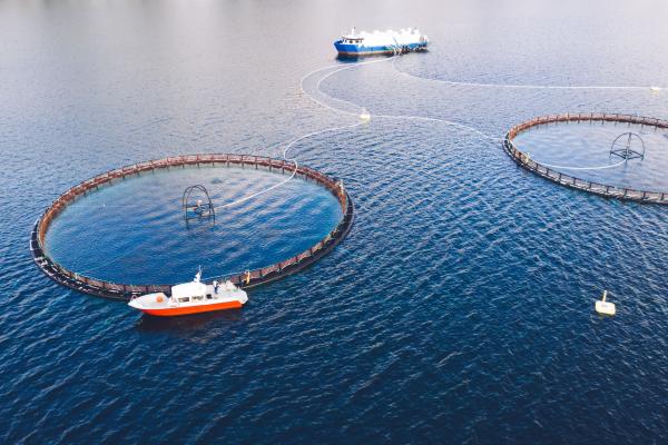 aquaculture