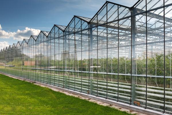 Greenhouse