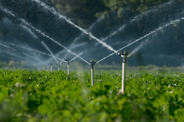 Irrigation