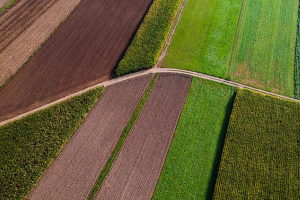 agricultural fields