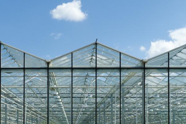 greenhouse