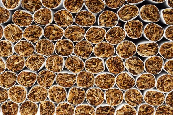 IT_tobacco_wholesale_fraud