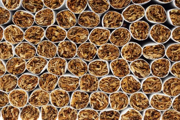 IT_tobacco_wholesale_fraud