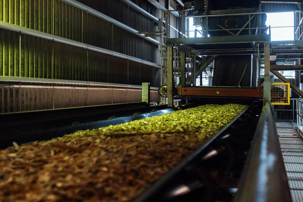 IT_pellet_production_plant