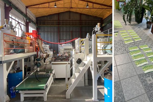 machines, cash
