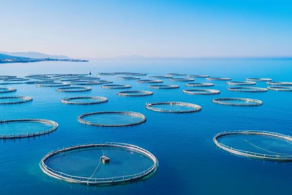 Aquaculture