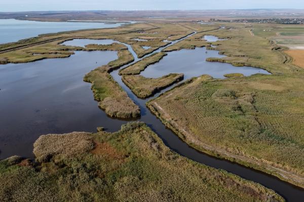 Danube Delta