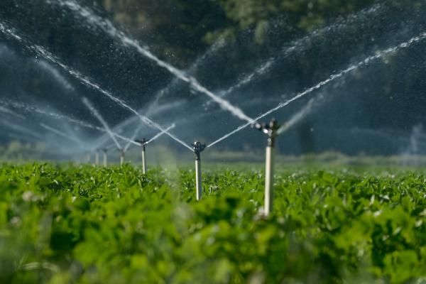 water sprinklers