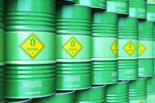 biodiesel barrels