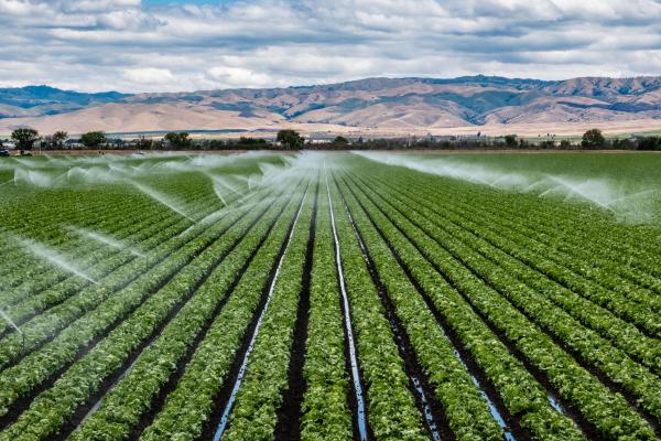 Irrigation system