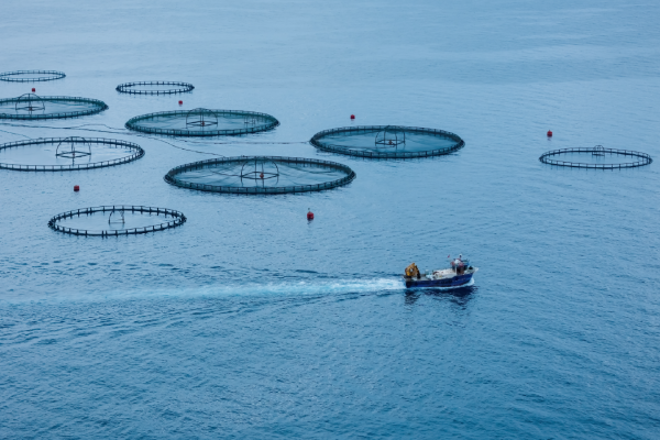 fisheries