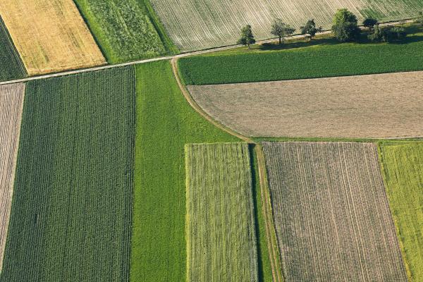 Fields agriculture