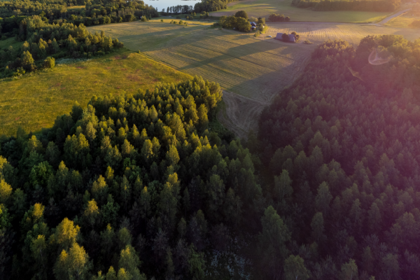 Vilnius