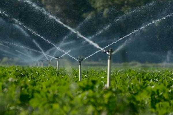water sprinklers in a field