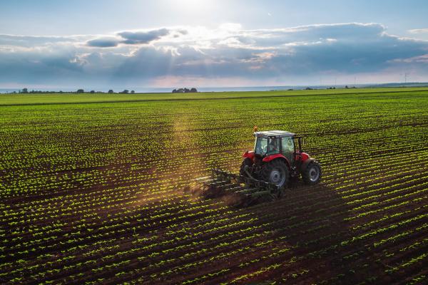 tractor and agricultural fields