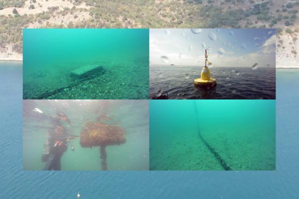 Mussel farm - Underwater searches