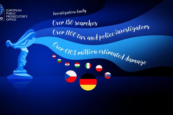 Investigation Emily