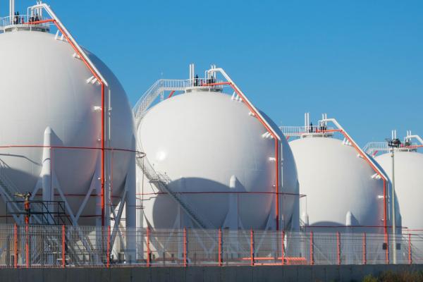 2026 04 09 Venice PIC