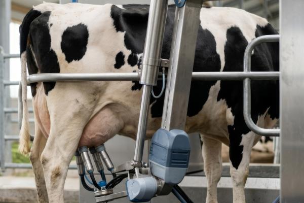 automatic milking machine